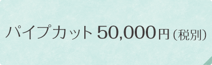 パイプカット50,000円 （税別）