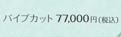 パイプカット70,000円 （税別）